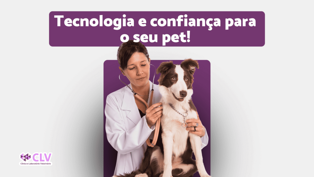 pet passando por atendimento veterinario no laboratorio da CLV em oriximina