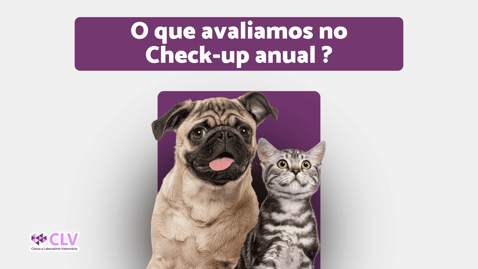 check-up anual e exames preventivos em caes e gatos oriximina